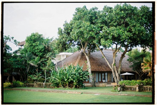 Budget-Friendly Escapades: Insider Advice for Maximizing Guided Tours in the South Downs